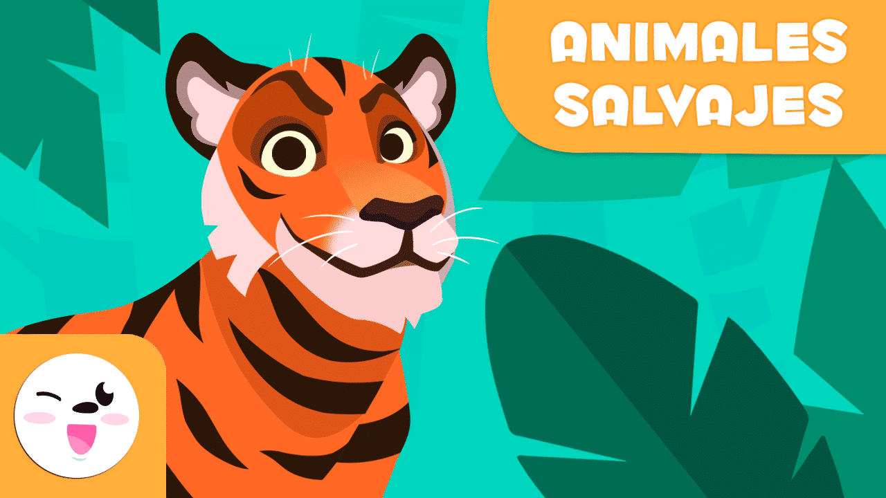 Vídeo para aprender los animales salvajes - Smile and Learn